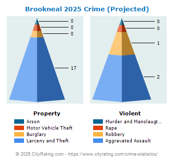 Brookneal Crime 2025