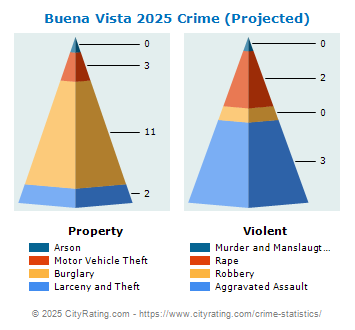 Buena Vista Crime 2025