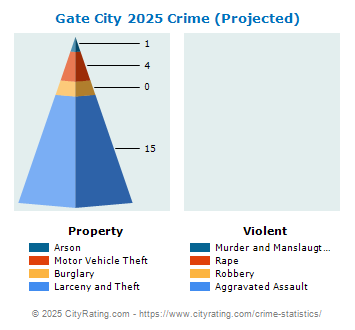 Gate City Crime 2025