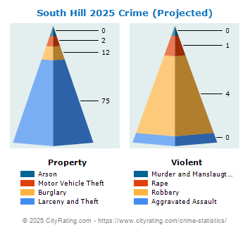 South Hill Crime 2025