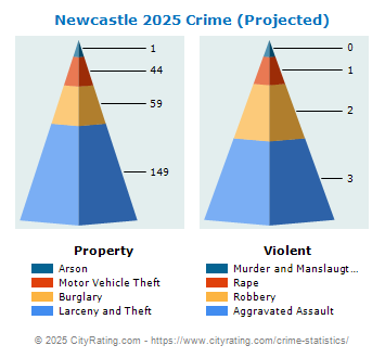 Newcastle Crime 2025