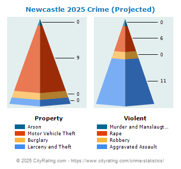 Newcastle Crime 2025